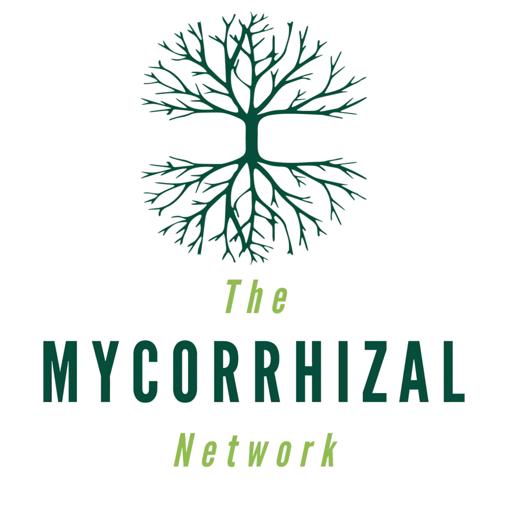 Mycorrhizal Network