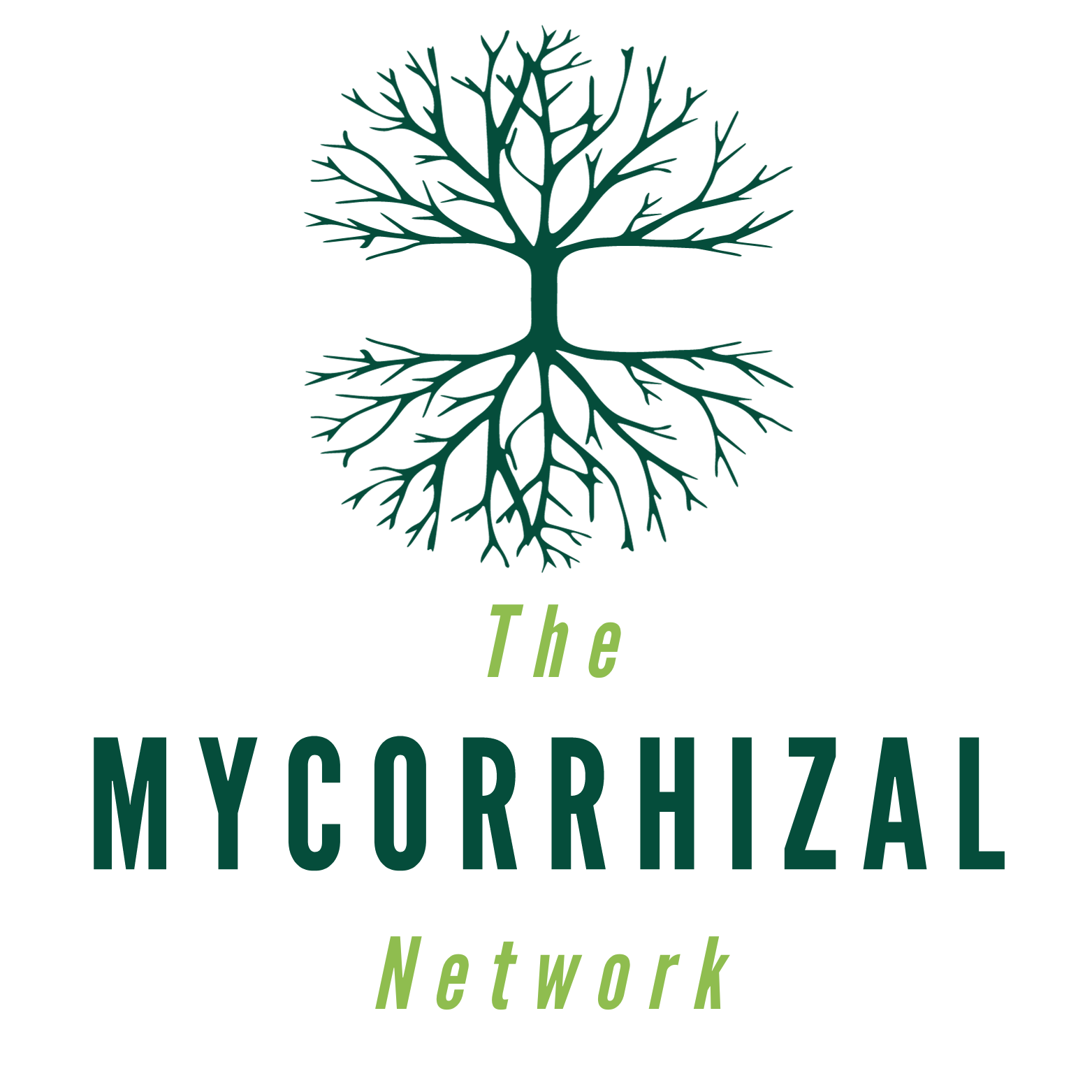 The Mycorrhizal Network