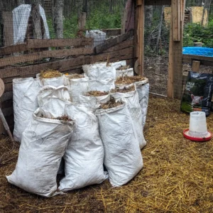 Rabbit manure compost