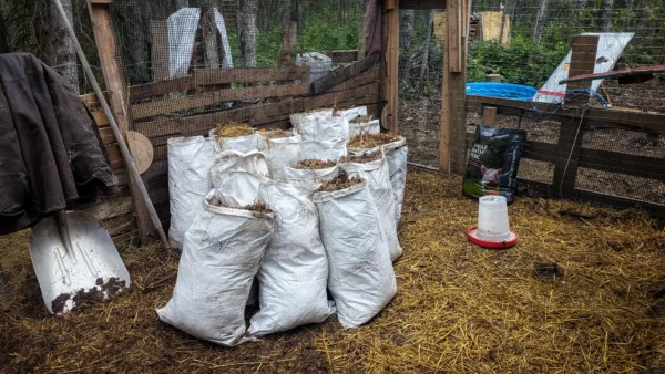 Rabbit manure compost