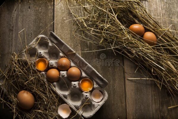 Forest-Foraged Chicken Eggs